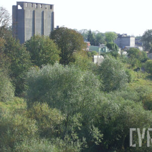 na pierwszym planie teren porośnięty drzewami i trawą, w głębi z lewej pozostałości betonowego, wysokiego budynku, z prawej od niego niskie budynki mieszkalne