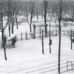 kute ogrodzenie z ozdobną bramą w zimowej scenerii, za ogrodzeniem pozbawione liści drzewa