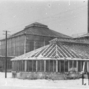 kilka połączonych szklanych pawilonów ze szklanymi dachami w zimowej scenerii