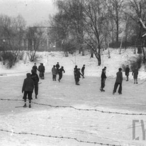 dzieci jeżdżące na łyżwach na zamarzniętym stawie wśród nagich drzew
