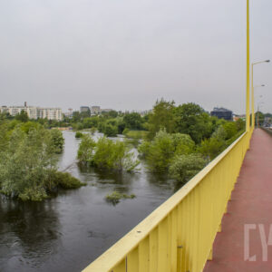 drzewa zalane wodą, za nimi wielokondygnacyjne budynki mieszkalne