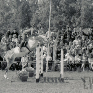 koń z jeźdźcem skacze przez przeszkodę, w głębi duża grupa widzów