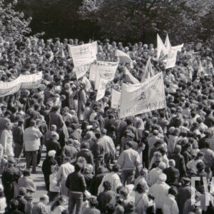 tłum ludzi z transparentami