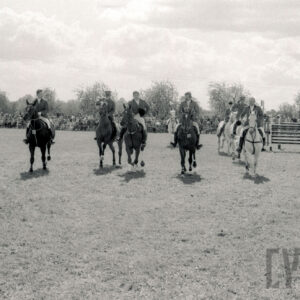 grupa jeźdźców na koniach, w głębi duża grupa widzów