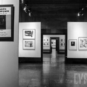 wnętrze ze ściankami działowymi, na których eksponowane są plakat i fotografie