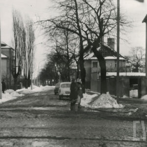 brukowana ulica zabudowana z obu stron willami ze spadzistymi dachami, na ulicy samochód, na poboczach śnieg