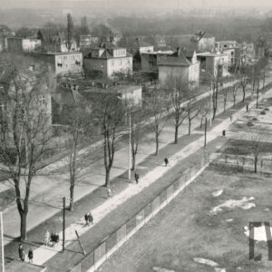 wąska ulica obsadzona szpalerem drzew z lotu ptaka, w głębi swobodnie rozplanowane domy jednorodzinne 