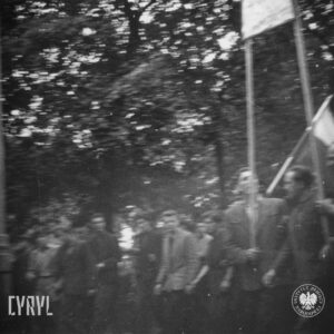 bardzo niewyraźne zdjęcie grupy ludzi idących ulicą, w głębi drzewa