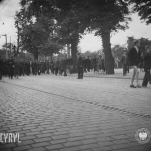 duża grupa ludzi idzie brukowaną ulicą, z prawej dwóch chłopców, przy ulicy duże drzewa