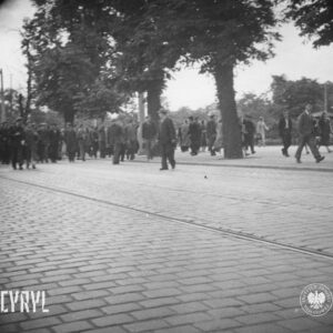 duża grupa ludzi idzie brukowaną ulicą, przy ulicy duże drzewa