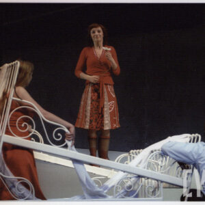 Barbara Prokopowicz w spektaklu Amatorki Elfriede Jelinek w Teatrze Polskim w Poznaniu