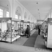 stoiska wystawowe w hali targowej