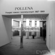 wejście do pomieszczenia ze stanowiskami wystawowymi w formie szklanych gablot