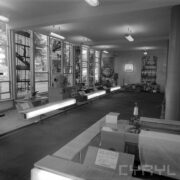 stoisko w hali wystawowej