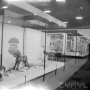 stoiska w hali wystawowej, z lewej pluszowy konik na biegunach