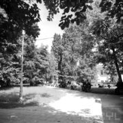 trawnik otoczony drzewami, wzdłuż chodnika ławki, na których siedzą ludzie