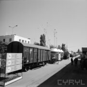 wagony towarowe stojące na torach kolejowych