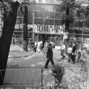 wejście do przeszklonego pawilonu, przed nim spacerujący ludzi, widoczne pnie drzew