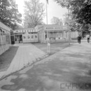 przeszklone budynki za nimi i z prawej drzewa