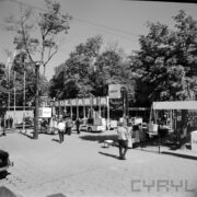 podnośniki samojezdne na betonowym placu, w głębi drzewa, zwiedzający ludzie