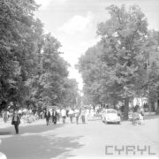 asfaltowa aleja obsadzona drzewami, spacerujący ludzie