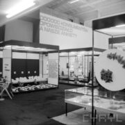 stoiska w hali wystawowej