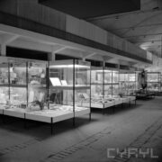 szklane gabloty z artykułami wystawienniczymi w hali wystawowej