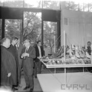 grupa rozmawiających ze sobą mężczyzn, stojących przy stoisku z butami w hali wystawowej