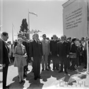 duża grupa ludzi stoi na baczność, druga z lewej dziewczynka w stroju harcerki