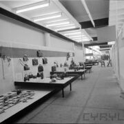 stoiska wystawowe w hali targowej