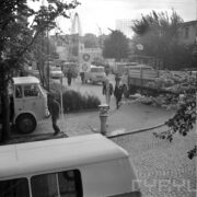 teren targów, na chodnikach i przy ulicach zaparkowane samochody dostawcze, z prawej i lewej strony zdjęcia widoczne gałęzie drzew