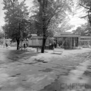 przeszklony pawilon otoczony drzewami, pomiędzy spacerują ludzie