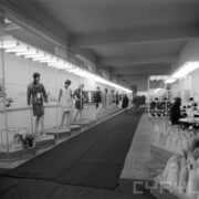 stoiska wystawowe w hali targowej