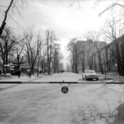 asfaltowa aleja na terenie targów, po obu jej stronach drzewa bez liści, z prawej i lewej pawilony wystawiennicze, spacerują ludzie, z prawej stoi samochód, na pierwszym planie szlaban z napisem stój