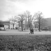 fragment ulicy, z nią kilka drzew bez liści, w głębi fragmenty budynków, chodnikiem spacerują ludzie