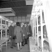 jedna kobieta, stojąca tyłem, i kilku mężczyzn w płaszczach w hali wystawowej