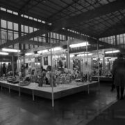 stoiska z pluszowymi zwierzątkami w hali wystawowej, przy nich oglądający ekspozycję ludzie