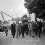 duża grupa mężczyzn, zwiedza tereny wystawiennicze