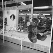 stoiska z pluszowymi zwierzątkami w hali wystawowej