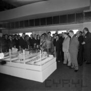 duża grupa mężczyzn ogląda ekspozycję z modelami statków w hali wystawowej